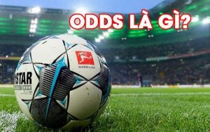 ODDS là gì trong cá cược thể thao?