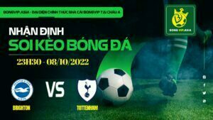 Bongvip soi kèo Brighton vs Tottenham