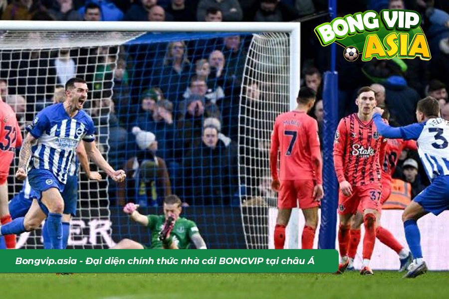 Soi Kèo Everton vs Brighton: Đặt Cửa Tài Hay Xỉu?