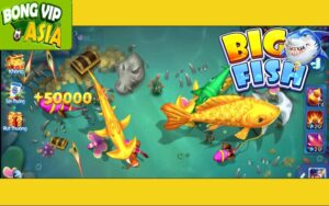 Bắn Cá H5 - Trải Nghiệm Game Đỉnh Cao tại Bongvip