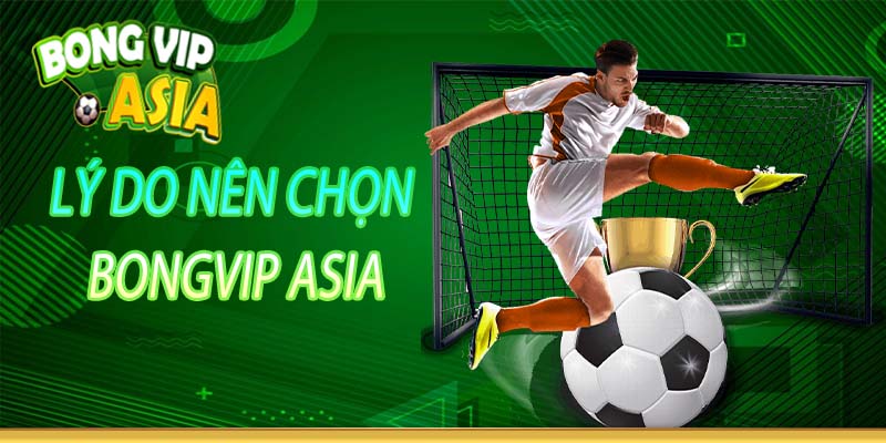 Giới Thiệu BongVip Asia: Điểm Đến Cá Cược Đẳng Cấp Châu Á